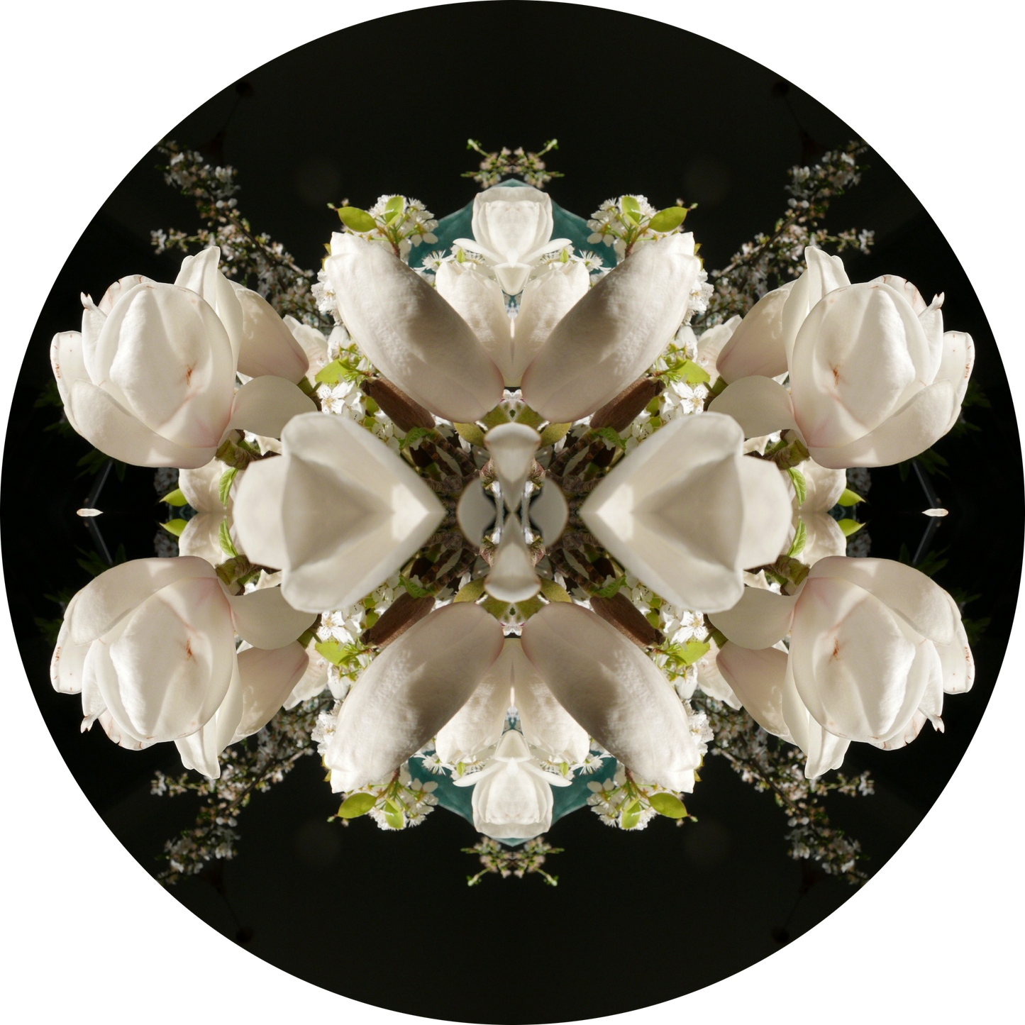 Magnolia Crown 3 - Round